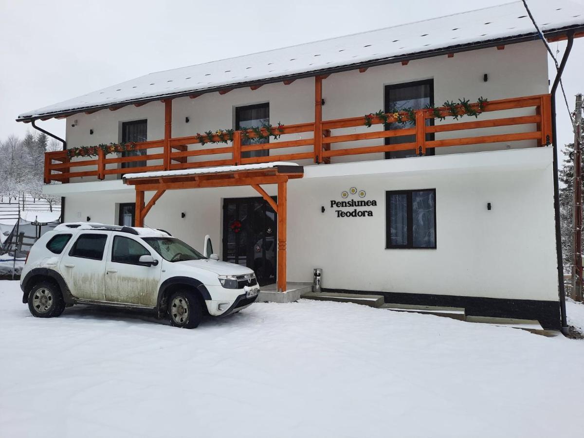 Pensiunea Teodora Moisei Exterior foto