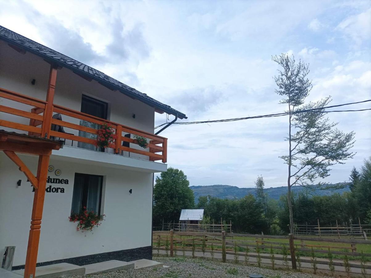 Pensiunea Teodora Moisei Exterior foto